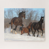 Oldenburg en Hanoverian Mares in Snow Legpuzzel (Horizontaal)