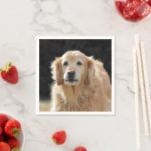 Oldie Golden Servet (Insitu)