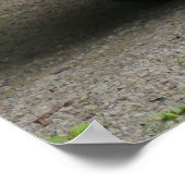 Oldsmobile 442 poster (Hoek)