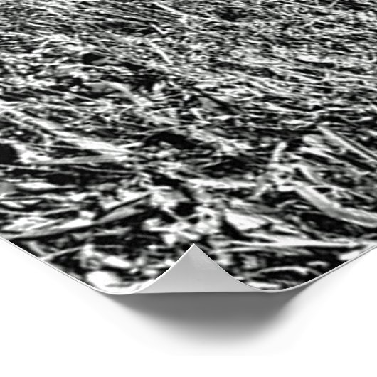 oldtimers verlaten op het groene poster van veldmu (Hoek)