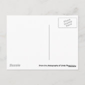 OldWest, Fort Worth Stockyards Bar Briefkaart (Achterkant)