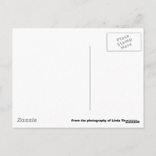 OldWest, Fort Worth Stockyards Bar Briefkaart (Achterkant)