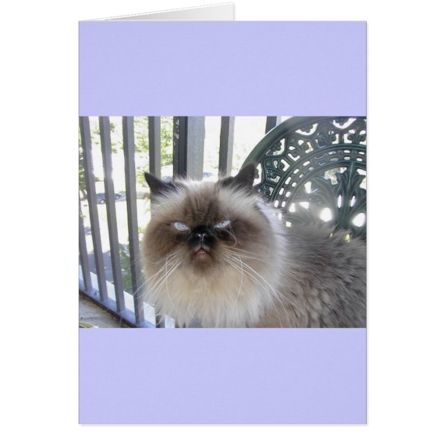 Ole' Blue Eyes (Voorkant)