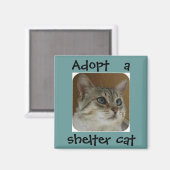 Ole Blue Eyes Magnet (Voorkant / Achterkant)