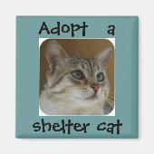 Ole Blue Eyes Magnet (Voorkant)