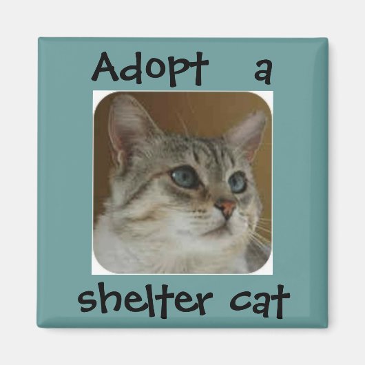 Ole Blue Eyes Magnet (Voorkant)