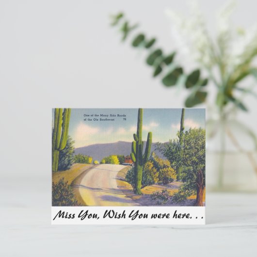 Ole Southwest Briefkaart (Staand voorkant)