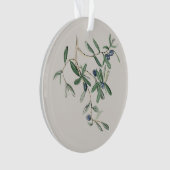 Olea Europana - Black Olive Ornament (voorkant)