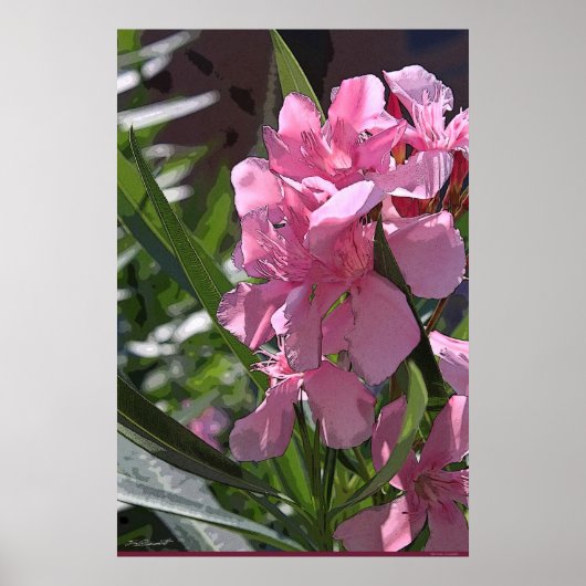Oleander Art Poster -24x36 - andere beschikbare fo (Voorkant)