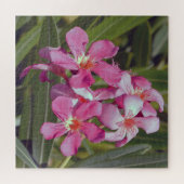 Oleander Bloem Jigsaw Puzzel (Horizontaal)