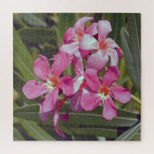 Oleander Bloem Jigsaw Puzzel