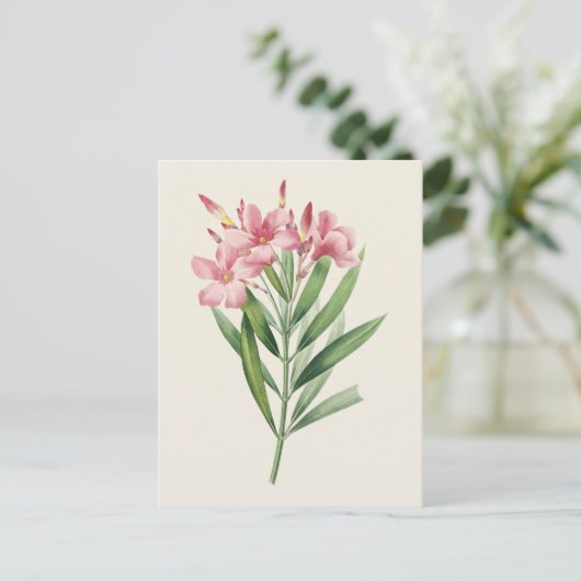  Oleander Botanische Illustratie Briefkaart (Staand voorkant)