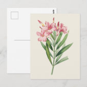  Oleander Botanische Illustratie Briefkaart (Voorkant / Achterkant)