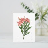 Oleander Briefkaart (Staand voorkant)