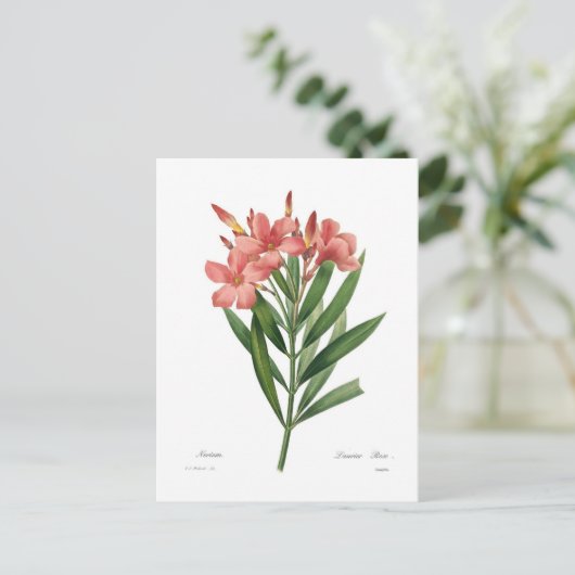 Oleander Briefkaart (Staand voorkant)