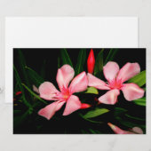 Oleander Briefpapier (Voorkant / Achterkant)