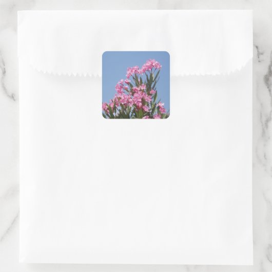 Oleander Flower Stickers (Tas)