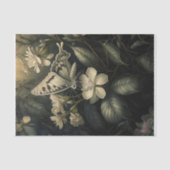 Oleander Magic, Moth in schemering Tissuepapier (Voorkant)