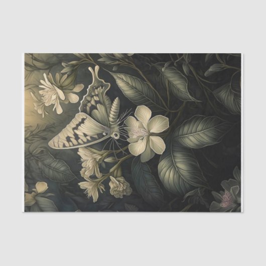 Oleander Magic, Moth in schemering Tissuepapier (Voorkant)