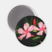 Oleander Magneet (Voorkant / Achterkant)