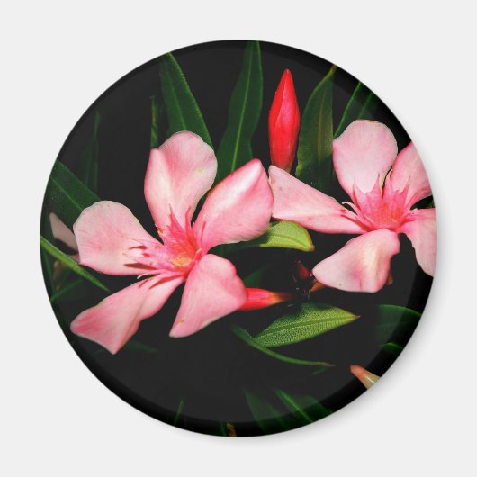 Oleander Magneet (Voorkant)