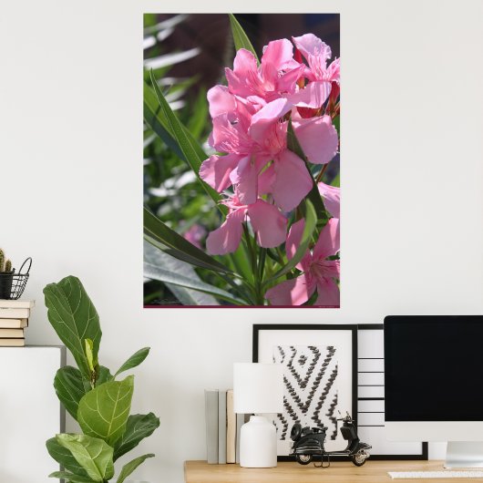 Oleander Poster -24x36 - andere beschikbare format (Thuiskantoor)