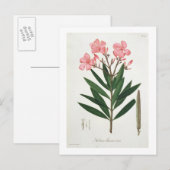 Oleander van 'Phytographie Medicale' door Joseph R Briefkaart (Voorkant / Achterkant)