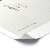 Oleander van 'Phytographie Medicale' door Joseph R Poster (Hoek)