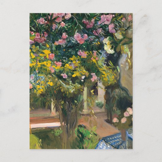 Oleanders | Joaquín Sorolla Briefkaart (Voorkant)