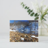 Olentangy in Winter, Highbanks Metro Park, OH Briefkaart (Staand voorkant)