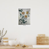 Olga Rozanova Zedign Kunstposter #156 Poster (Keuken)