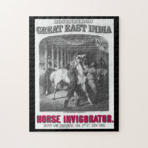 Olie en Oude Advertenties 11 van de slang Puzzel