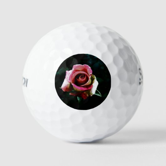 Olie geschilderde rode roos golfballen (Voorkant)