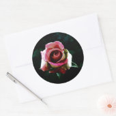 Olie geschilderde rode roos ronde sticker (Envelop)