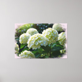 *~* Olie Hydrangea TV2 Kunst Uitgerekte Canvas Pri Afdruk
