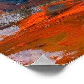 Olie schilderbloemen, korenbloem, madeliefje in ve poster (Hoek)