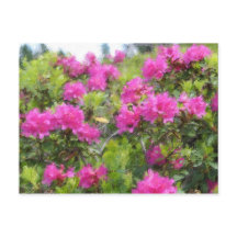 Olie-schilderij van alpenroos rhododendron