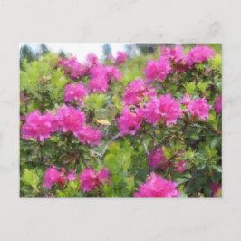 Olie-schilderij van alpenroos rhododendron briefkaart