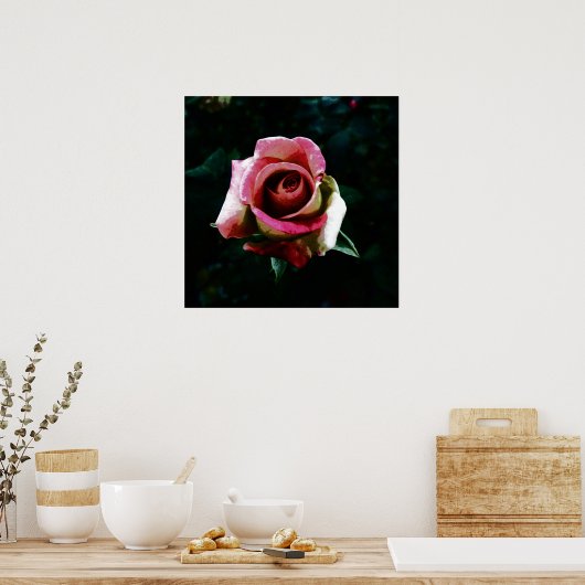 Oliebeschilderd roos poster (Keuken)