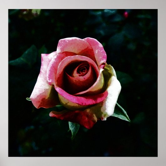 Oliebeschilderd roos poster (Voorkant)