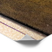  OLIEPTREKKER POSTER (Hoek)