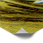 olieschilderbloemen nabij het zee, kamilleveld, poster (Hoek)