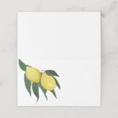 Olieverf Citroen plaatskaarten Plaatskaartje (Buitenkant ongevouwen)