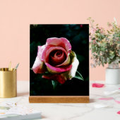 Olieverf rode roos acryl bord (Huwelijk)