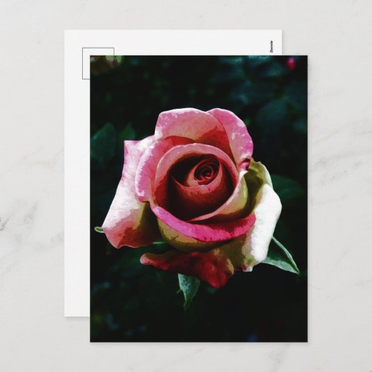 Olieverf rode roos feestdagenkaart (Voorkant / Achterkant)