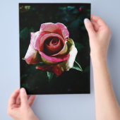 Olieverf rode roos flyer (Hand)