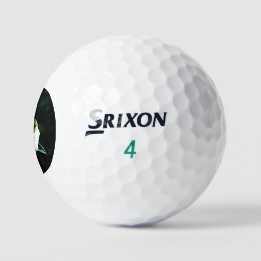 Olieverf rode roos golfballen (Logo)