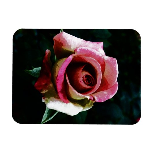 Olieverf rode roos magneet (Horizontaal)