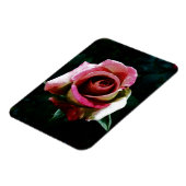 Olieverf rode roos magneet (Linkerzijde)