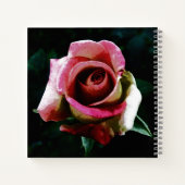 Olieverf rode roos notitieboek (Achterkant)